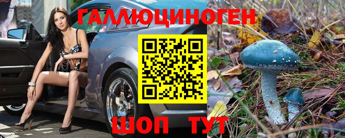 Псилоцибиновые грибы Psilocybine cubensis  Вход с VPN  Бугуруслан 