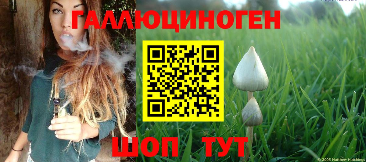 Псилоцибиновые грибы Cubensis Бугуруслан